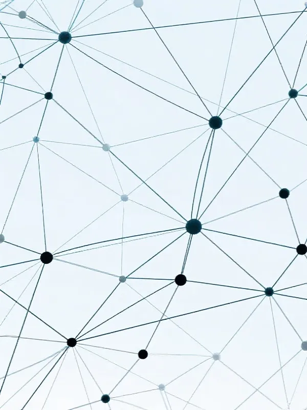 Network